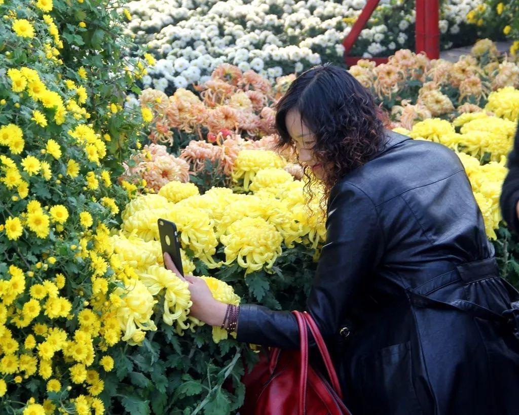 重阳节是干嘛的日子？重阳节5大习俗