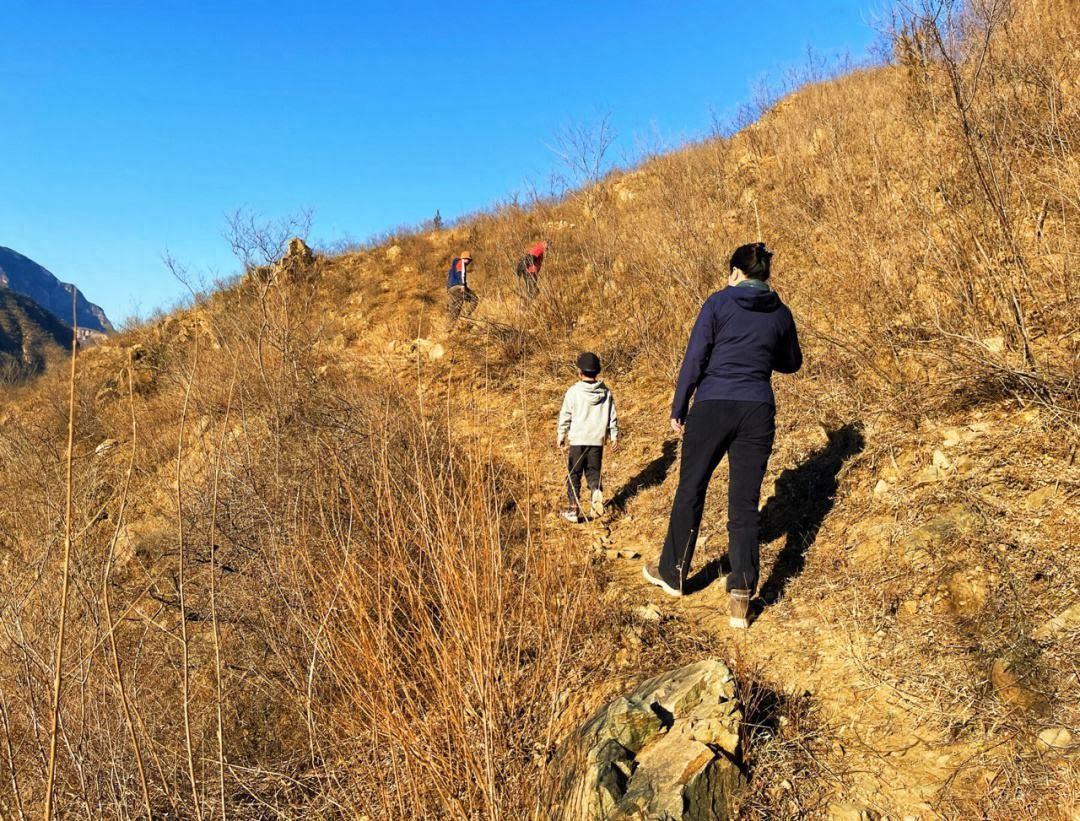 重阳节是干嘛的日子？重阳节5大习俗