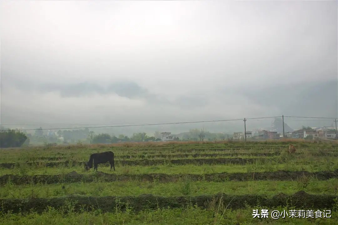 谷雨吃什么风俗食物好？谷雨有什么讲究和忌讳