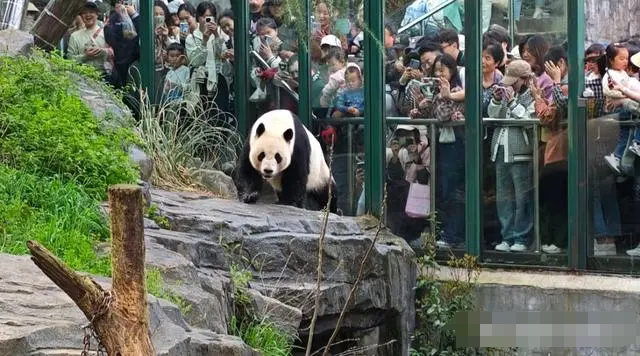 清明踏青的人开始在朋友圈骗人 该事引起网友的热议