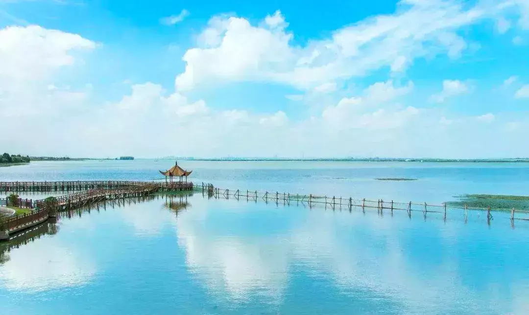 阳澄湖大闸蟹产地是哪里？为什么大闸蟹数阳澄湖的最好