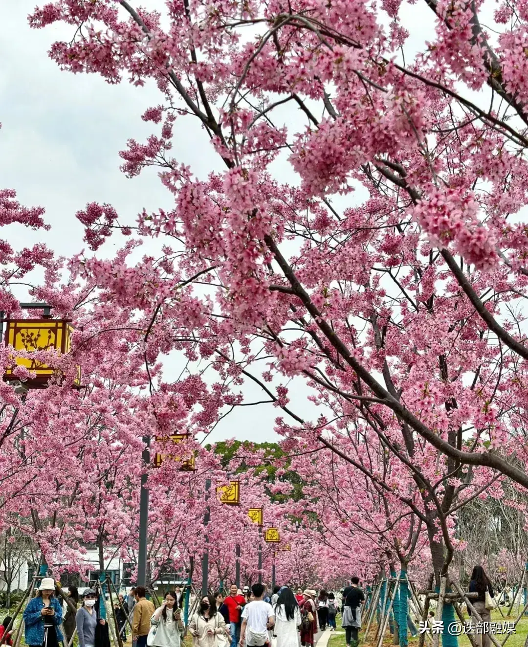 3月份去哪旅游好？三月最佳旅行目的地清单