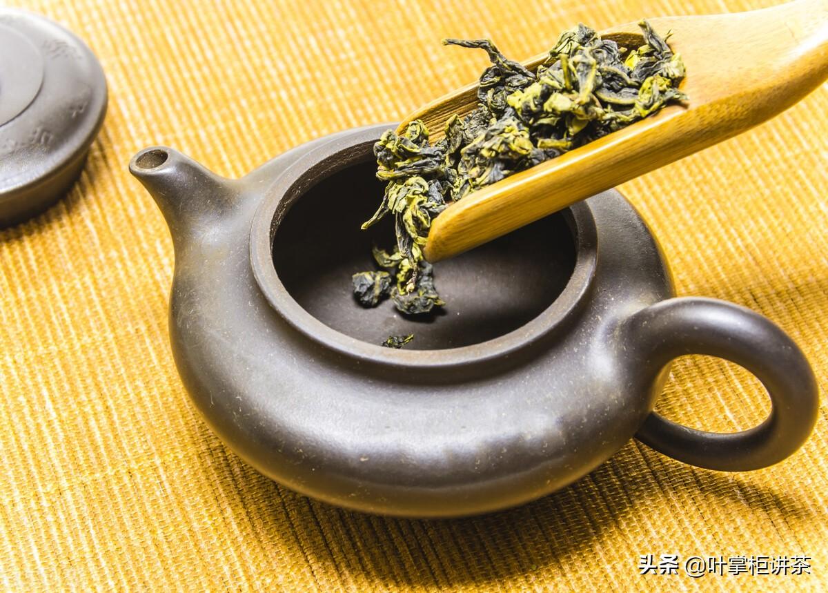 铁观音属于哪种茶？铁观音是红茶还是绿茶