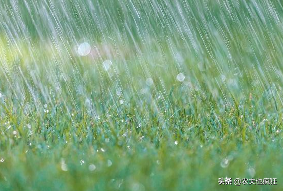 冬至下雨有什么说法？冬至宜雨不宜晴什么意思