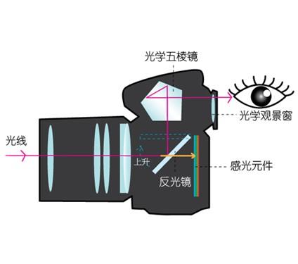 什么是单反数码相机？附单反数码相机品牌大全