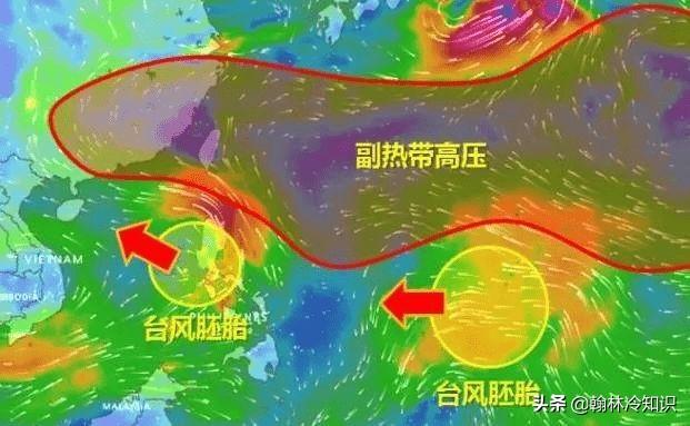 台风烟花是什么意思？台风为什么叫“烟花”